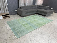 Natural cactus silk Rugs