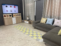 checkered cactus silk Rugs