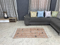 Orange cactus silk Rugs