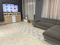 Natural cactus silk Rugs