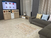 Orange cactus silk Rugs
