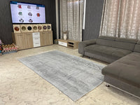 Grey cactus silk Rugs