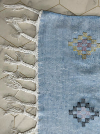 Blue cactus silk Rugs