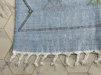 Blue cactus silk Rugs