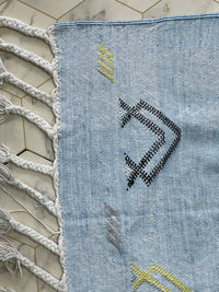 Blue cactus silk Rugs