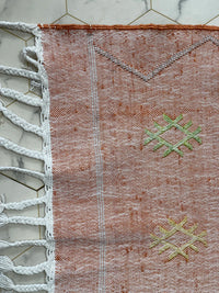 Orange cactus silk Rugs