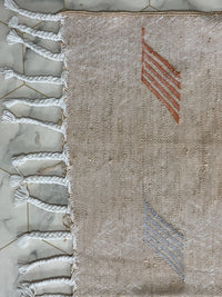 Orange cactus silk Rugs