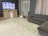 Natural cactus silk Rugs