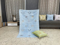 Blue cactus silk Rugs